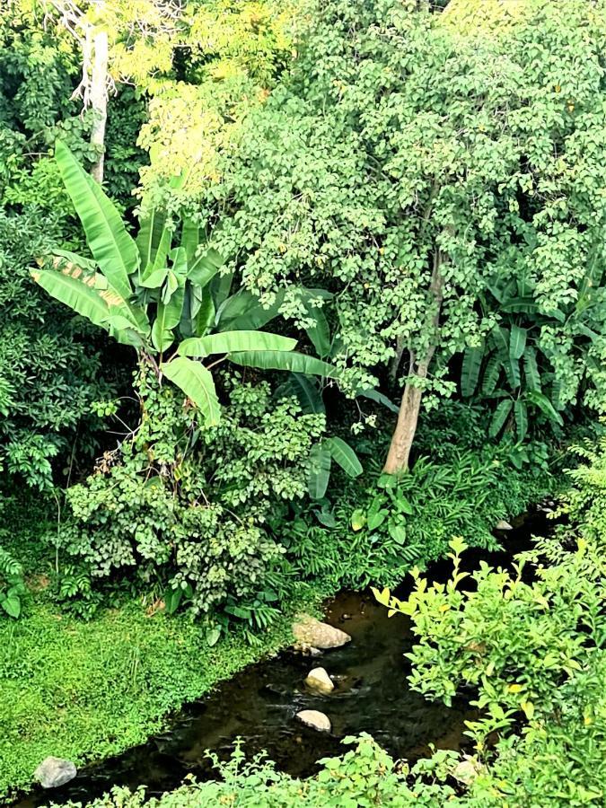 Holiday Cottage By The River, Arusha Luaran gambar