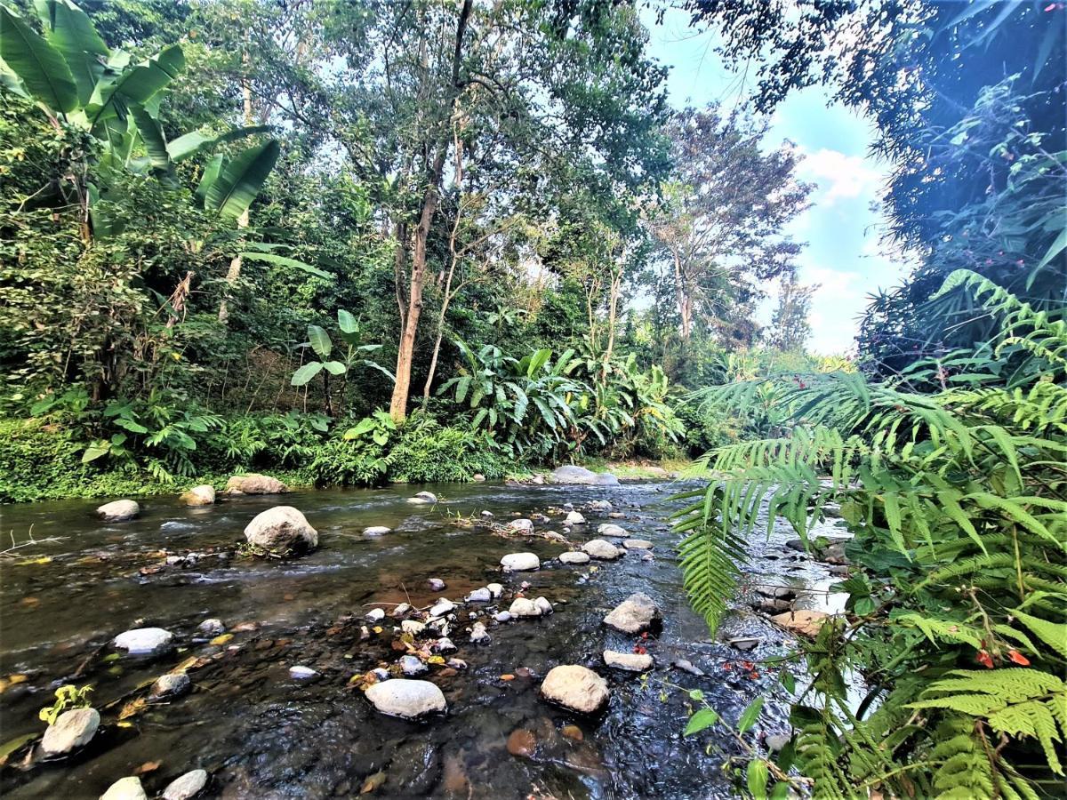 Holiday Cottage By The River, Arusha Luaran gambar